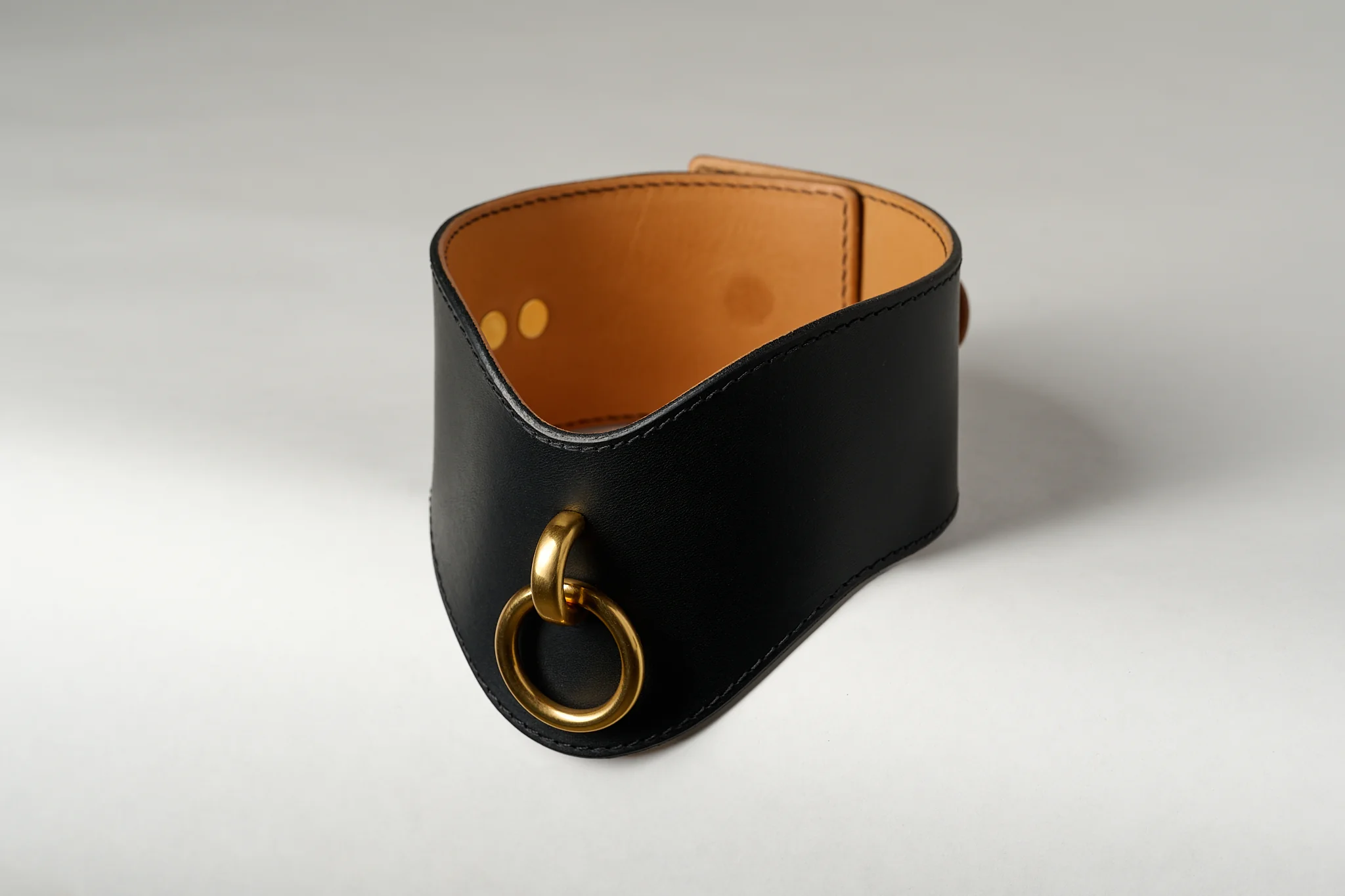 Andromeda Leather Posture Collar - Image 3